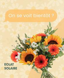 Catalogue Florajet semaine 38 page 6