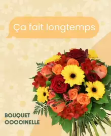 Catalogue Florajet semaine 38 page 2