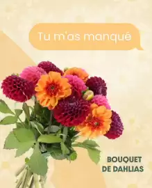 Catalogue Florajet semaine 38 page 3