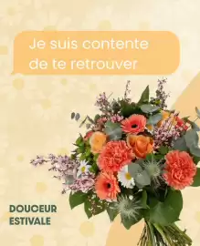 Catalogue Florajet semaine 38 page 4