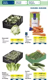 METRO Prospekt woche 39 Seite 10