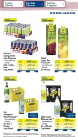 METRO Prospekt woche 39 Seite 25