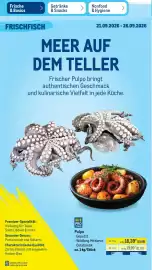 METRO Prospekt woche 39 Seite 6