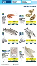 METRO Prospekt woche 39 Seite 7
