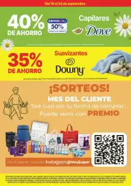 Catálogo Supermercados Vea Página 10