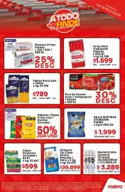 Catálogo Makro Página 2: Palmolive - jabón €5,99, Lysoform - desinfectante €3.289,00