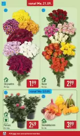 ALDI folder week 39 Pagina 44