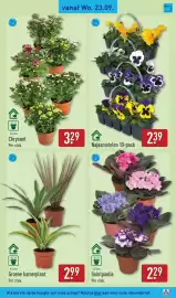 ALDI folder week 39 Pagina 45