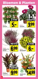 Vomar Voordeelmarkt folder week 39 Pagina 31