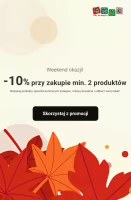 Smyk (ważność do 21-09)