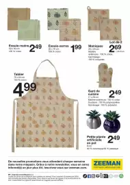 Catalogue Zeeman semaine 38 page 16: Essuie-mains €2,49, Petite plante artificielle en pot €2,49
