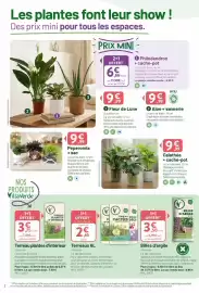 Catalogue VillaVerde page 2: Facile - fleur de lune €9,99, Nos - peperomia + sac €9,99