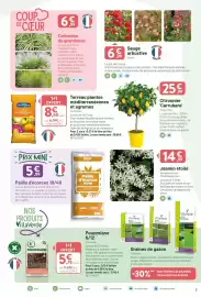 Catalogue VillaVerde page 3: Villa verde - pouzzolane 6/12 €5,75, Facile - citronnier carubaro €25,99