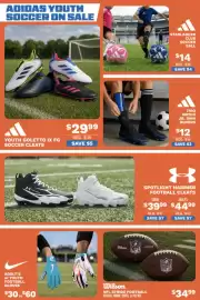 Big 5 weekly ad Page 3