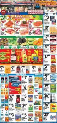 Pioneer (valid until 1-10)