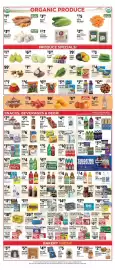 Pioneer Supermarkets weekly ad week 38 Page 6: Pero Family Farms Vegetables €3,99, Pero Family Farms Mini Sweet Peppers €6,99