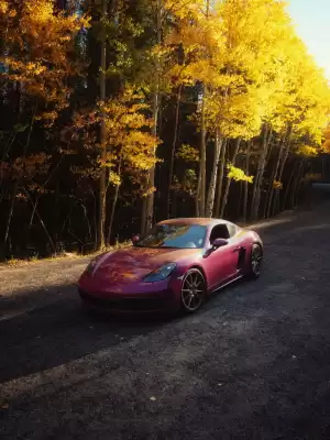 Porsche (valid until 24-09)