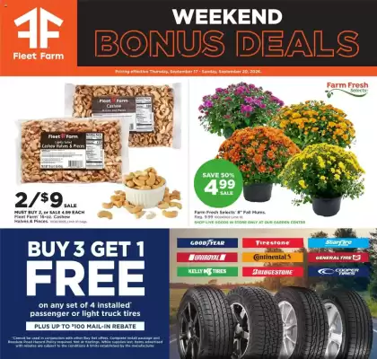 Mills Fleet Farm (valid until 20-09)