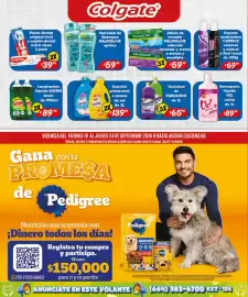 Folleto El Florido semana 38 Página 18