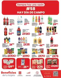 Folleto Alsuper Página 7: Nectares del Valle €22,90, Variedad de bebida tampico €44,90