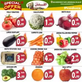 Al-Quds Supermarket flyer week 38 Page 3
