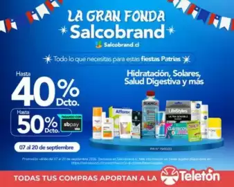 Catálogo Salcobrand Página 13