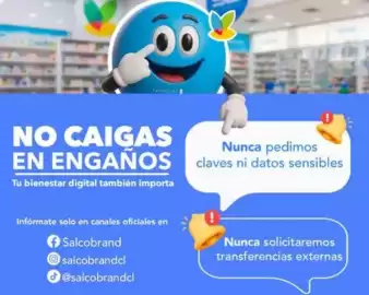 Catálogo Salcobrand Página 14