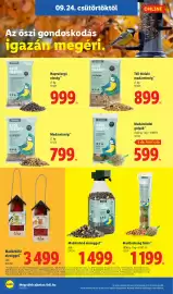 Lidl akciós újság hét 39 Oldal 22: Háncé Haus madárbüfé €3.499,00, Erdtmanns napraforgó eleség €999,00