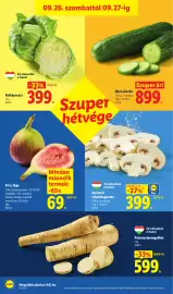 Lidl akciós újság hét 39 Oldal 36: Petrezselyemgyökér €599,00, Friss füge €69,00