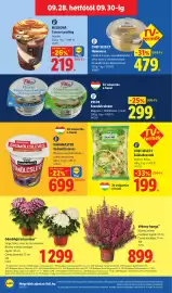Lidl akciós újság hét 39 Oldal 52: CHEF SELECT Hummusz €479,00, HMMMASTER Gyümölcsleves €699,00