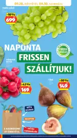 ALDI akciós újság hét 39 Oldal 30: Fehér szőlő €699,00, Füge €149,00
