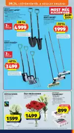 ALDI akciós újság hét 39 Oldal 41: GARDENLINE KERTI ESZKÖZ €3.499,00, RÓZSACSOKOR €1.599,00