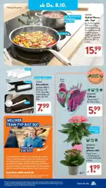 Aldi Süd Prospekt woche 41 Seite 16: GARDENLINE Callunen €5,99, GARDENLINE Zimmer-pflanzen-Mix €1,99