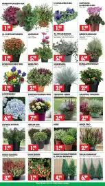 Wreesmann Prospekt woche 39 Seite 2