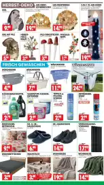 Wreesmann Prospekt woche 39 Seite 6
