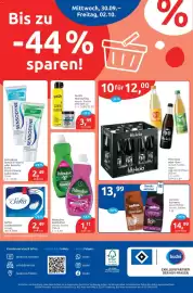 Budni Prospekt woche 40 Seite 8