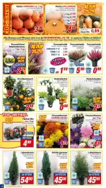 CENTERSHOP Prospekt woche 39 Seite 4