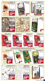CENTERSHOP Prospekt woche 39 Seite 5
