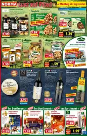 Norma Prospekt woche 40 Seite 11