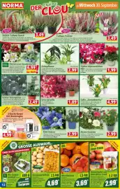 Norma Prospekt woche 40 Seite 12