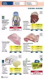 METRO Prospekt woche 39 Seite 33