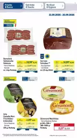 METRO Prospekt woche 39 Seite 41