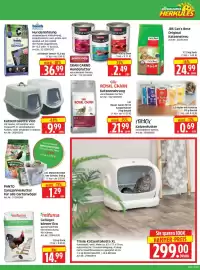 Herkules Baumarkt Prospekt woche 39 Seite 11