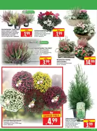 Herkules Baumarkt Prospekt woche 39 Seite 2