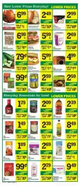 Price Chopper weekly ad week 39 Page 9: Pics Tomato Paste €1,49, Pics Traditional Yogurt €2,69