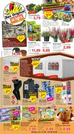 Wiglo Wunderland Prospekt woche 39 Seite 1