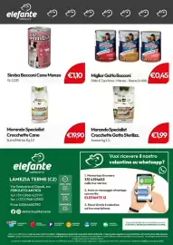 Volantino Elefante Cash & Carry Pagina 64