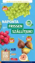 ALDI akciós újság hét 38 Oldal 24