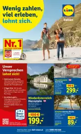Lidl Flugblatt woche 39 Seite 29