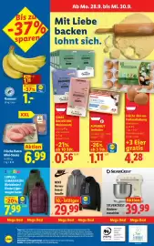 Lidl Flugblatt woche 39 Seite 31